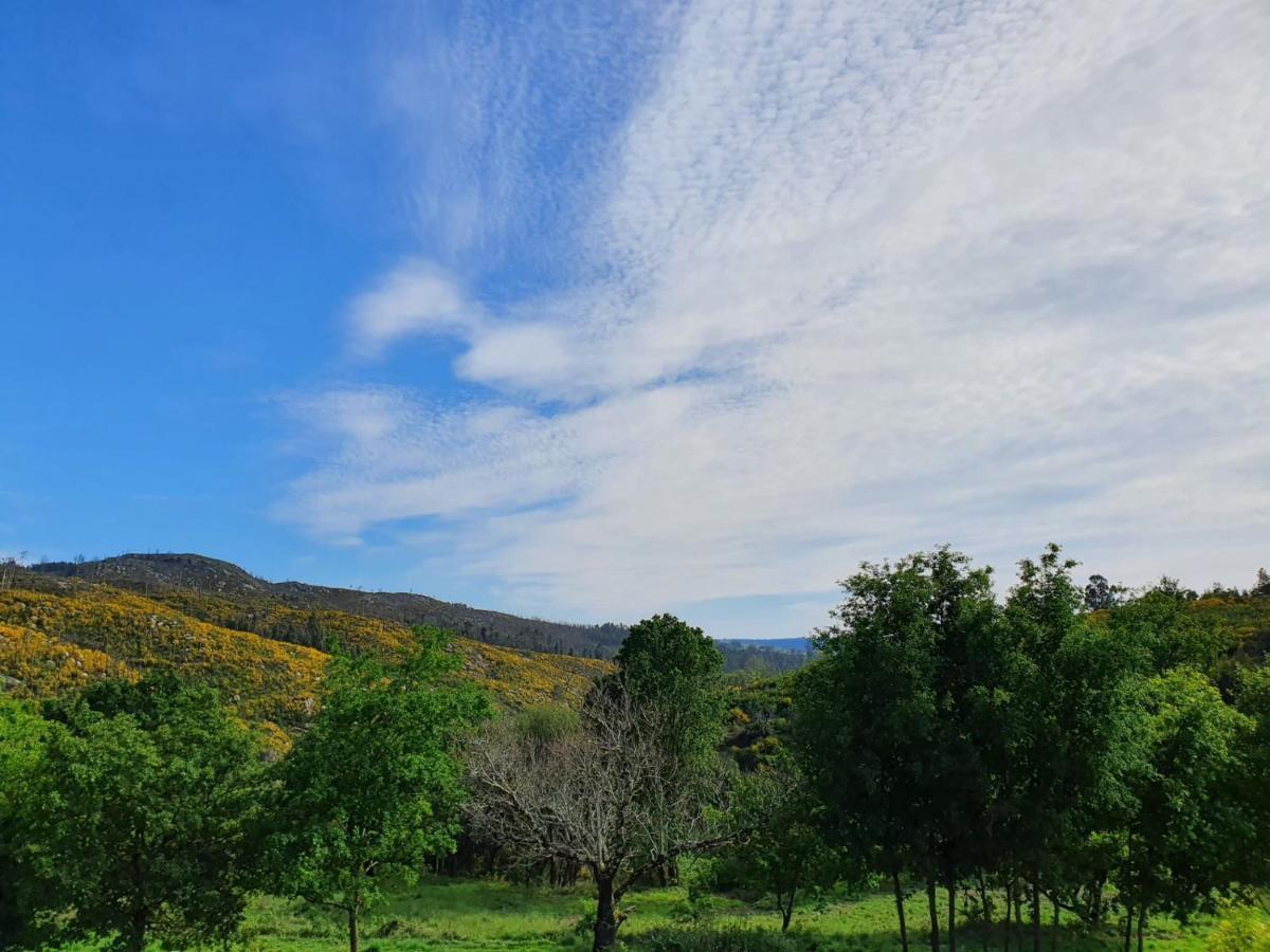 Quinta De Cerdeiro Villa Moes Exteriör bild